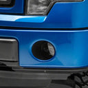 Photo - Close Up