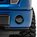 Photo - Close Up