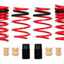 Eibach Sportline Kit for 2015 Mustang GT 5.0L V8