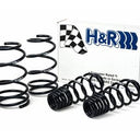 H&R 07-10 Ford GT500/GT500 Convertible V8 Sport Spring