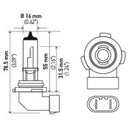 Hella H10 12V 65W Xen White Bulb (Pair)