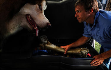 Husky Liners 09-12 Ford F-150 SuperCrew Cab Husky GearBox (w/ Factory Subwoofer)