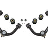 ICON 04-20 Ford F-150 / 2014+ Ford Expedition Tubular Upper Control Arm Delta Joint Kit