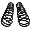 Icon 21-24 Raptor Triple Rate Coil Spring Kit