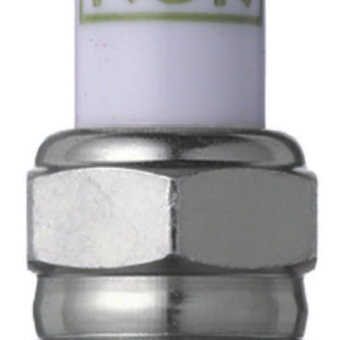 NGK GP Platinum Spark Plug Box of 4 (TR55GP)