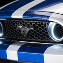 Oracle Ford Mustang 10-13 WP LED Fog Halo Kit (Grille Style) - White