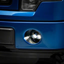 Photo - Close Up