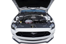 Load image into Gallery viewer, Redline Tuning - Hood Struts - Redline Tuning 2015+ Ford Mustang Hood QuickLIFT PLUS (Except Shelby GT350) - Anything Coyote