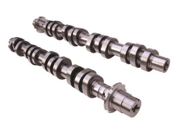 Ford Racing - Camshafts - Ford Racing 2005-2010 Mustang GT High Lift Hot Rod Cam Set - Anything Coyote