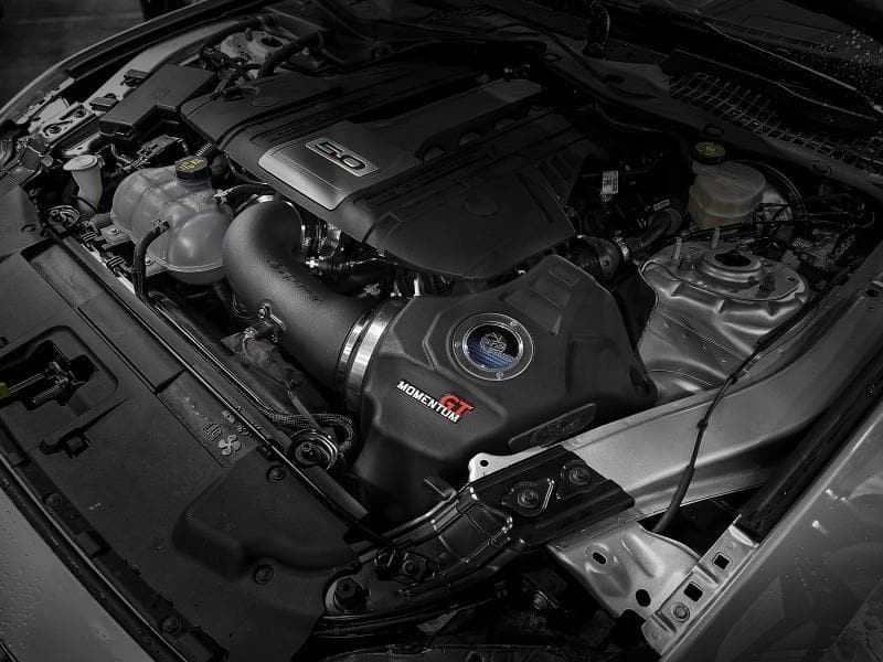 aFe - Cold Air Intakes - aFe Momentum GT Pro 5R Cold Air Intake System 18-19 Ford Mustang GT 5.0L V8 - Anything Coyote