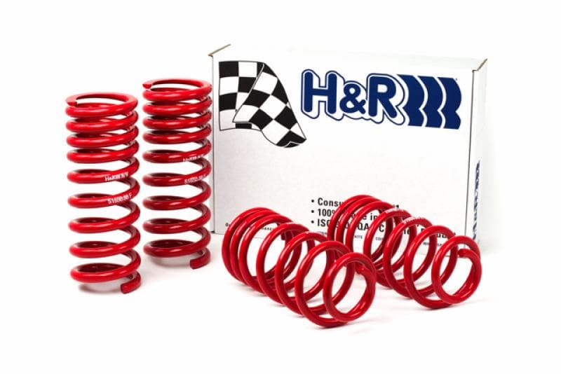 H&R - Lowering Springs - H&R 94-95 Ford Mustang/Mustang Cobra V8 Race Spring - Anything Coyote