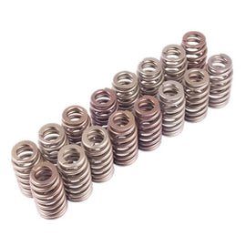 Ford Racing - Valve Springs, Retainers - Ford Racing BOSS 302R Valve Spring Kit - Anything Coyote