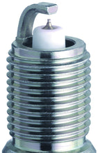Load image into Gallery viewer, NGK - Spark Plugs - NGK GP Platinum Spark Plug Box of 4 (TR55GP) - Anything Coyote