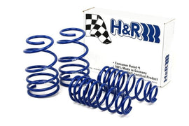 H&R - Lowering Springs - H&R 05-09 Ford Mustang/Convertible/GT/Shelby GT/Shelby GT-H V6/V8 Super Sport Spring - Anything Coyote