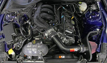 Load image into Gallery viewer, K&amp;N Engineering - Cold Air Intakes - K&amp;N 2015 Ford Mustang 3.7L V6 Performance Intake Kit - Anything Coyote