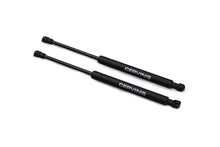 Load image into Gallery viewer, 2005-2014 Cervini&#39;s Mustang Hood Struts