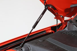 2015-2021 Cervini's Mustang Hood Struts