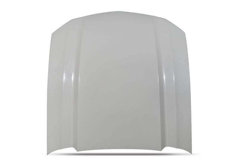 05-09 Mustang Cobra R Hood