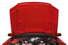 Load image into Gallery viewer, 10-14 GT500 Type 4 Ram Air Hood