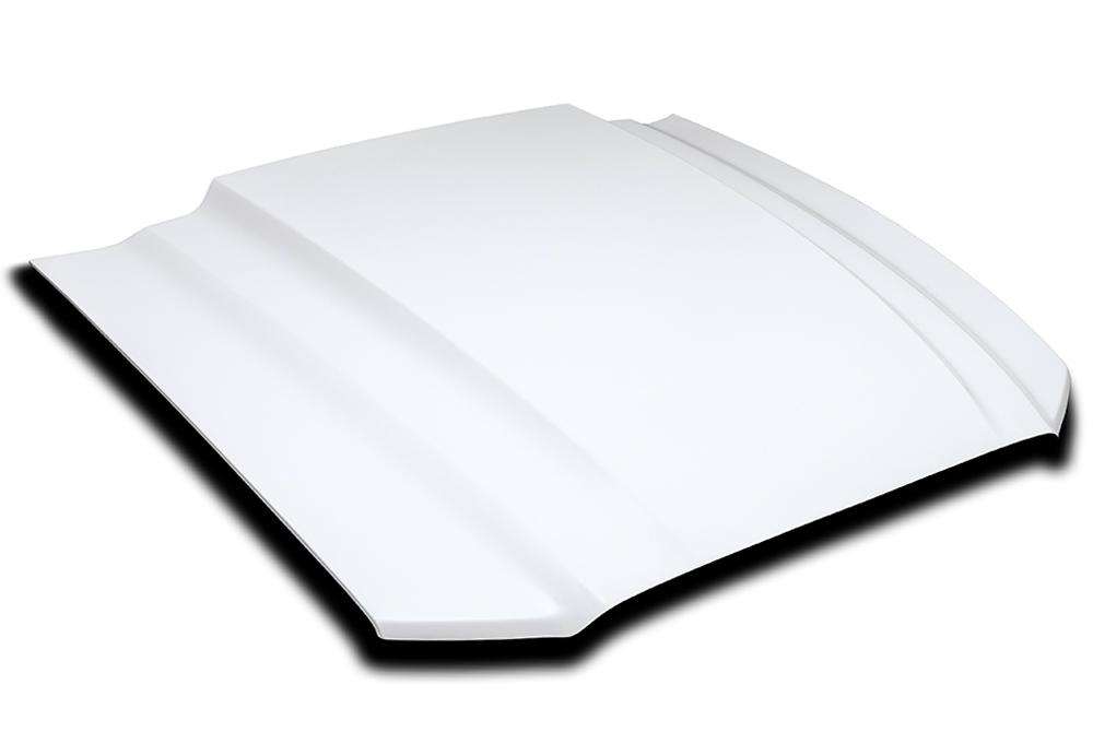 13-14 Mustang Cobra R Hood