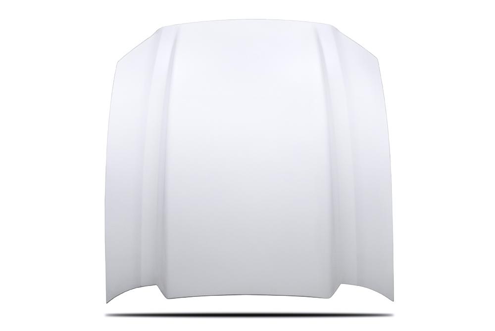 13-14 Mustang Cobra R Hood