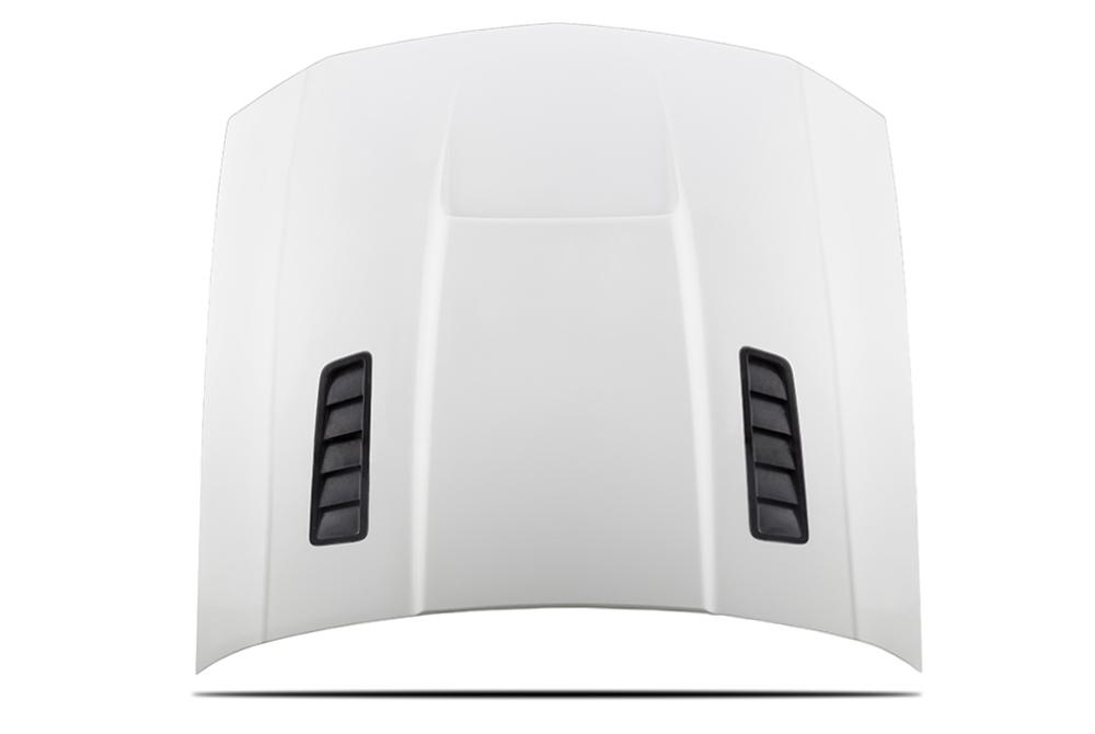 05-09 Mustang Stalker II Hood