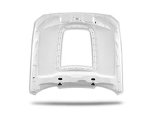 Load image into Gallery viewer, 2016 - 2020 GT350 Heat Extractor Hood (GT500 Style)